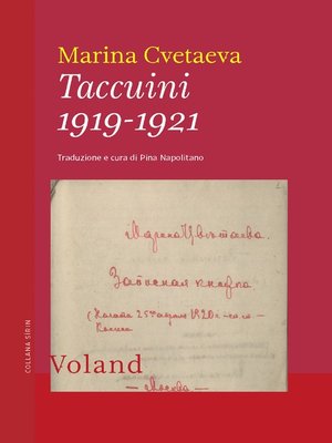cover image of Taccuini 1919-1921
